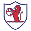 https://img.annamanda.com/img/football/team/11fb72f7b5eacfc881ee11bac75871fa.png