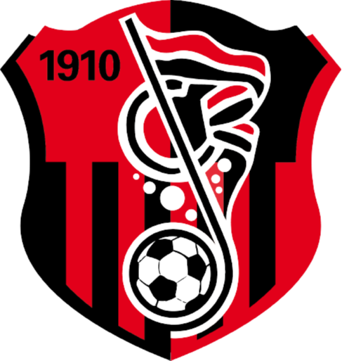 https://img.annamanda.com/img/football/team/93e018cff141af47eae05333ac19a65d.png