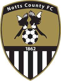 https://img.annamanda.com/img/football/team/9e230c89a846b9cadf91884918fa7611.png